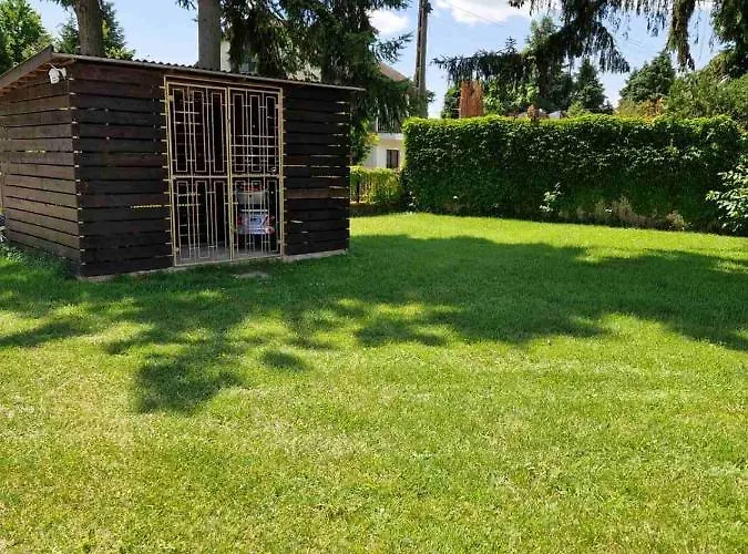 Bed & Breakfast Gabino Balatonbereny